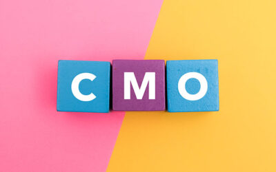 What You Need to Know about Working with a Fractional CMO